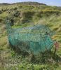 PICTURES/Ring of Kerry - Derrynane Abbey & Beach/t_20250927_125910.jpg